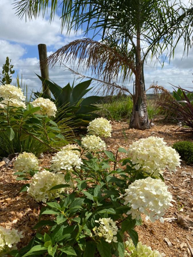 Turiwiri Farmstay Dargaville Luaran gambar